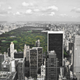 Illustration for article titled How Should We Design Cities to Make the Most of Urban Ecosystems?